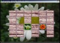 CompliCat Concentration Screenshot