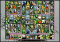 CompliCat MahJong Screenshot